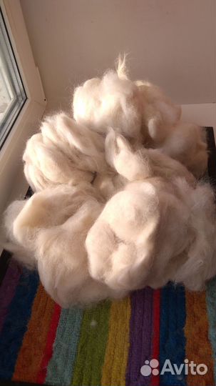 Собачья шерсть пух