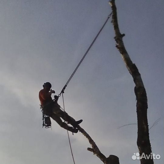 Удаление деревьев