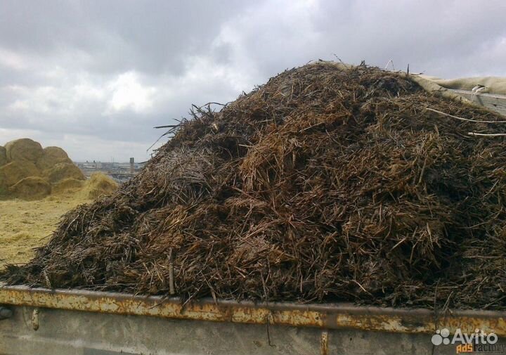 Навоз, перегной