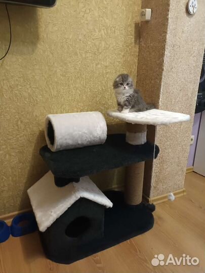 Домик для кошки с когтеточкой