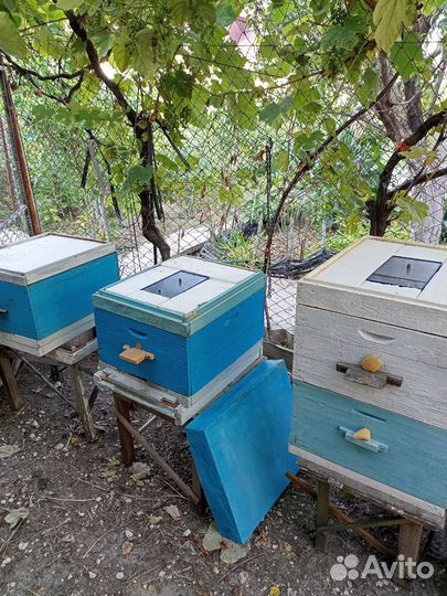 Продам ульи для пчел