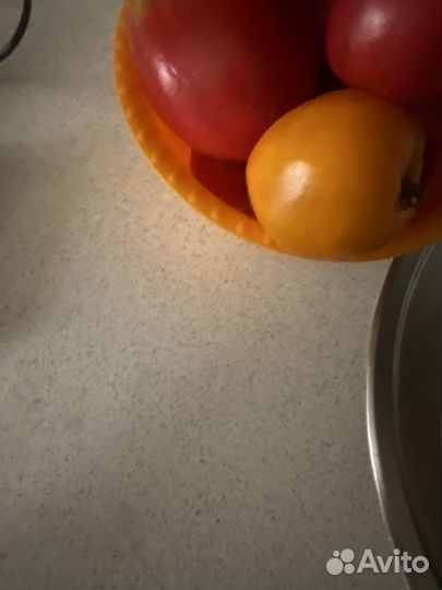 Терморегуляторы, фильтр для аквариума