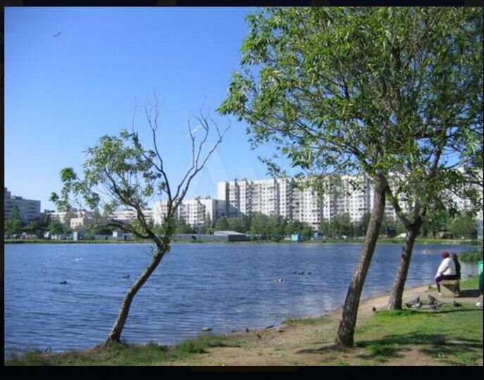 Свободного назначения, 22 м²