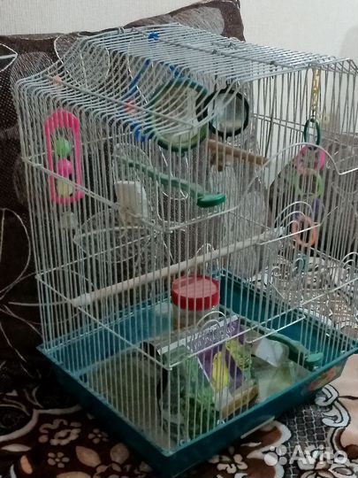 Клетка для попугая