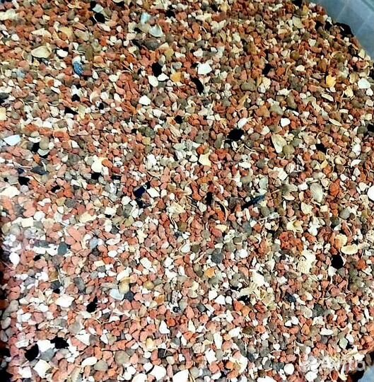 Продукция для голубей