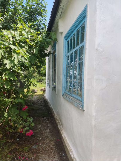 Дом 38,8 м² на участке 12 сот.