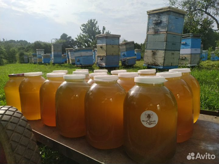 Мед цветочный, мёд, разнотравье