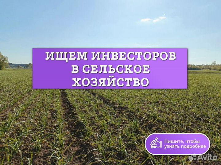 Готовый бизнес гарантированный доход