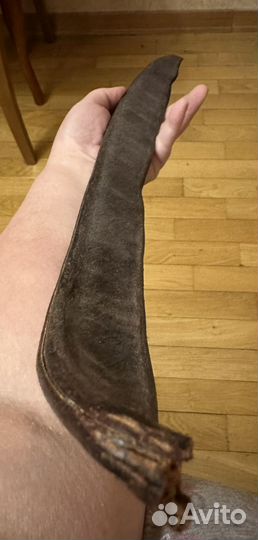 Огромные стручки акации и др