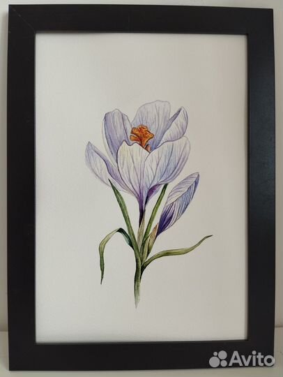 Акварель цветы