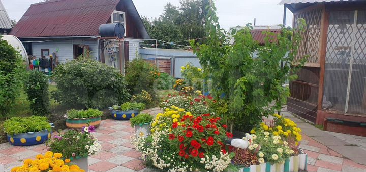 Дача 20 м² на участке 4,9 сот.