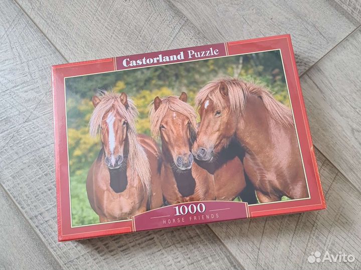 Пазлы castorland 1000