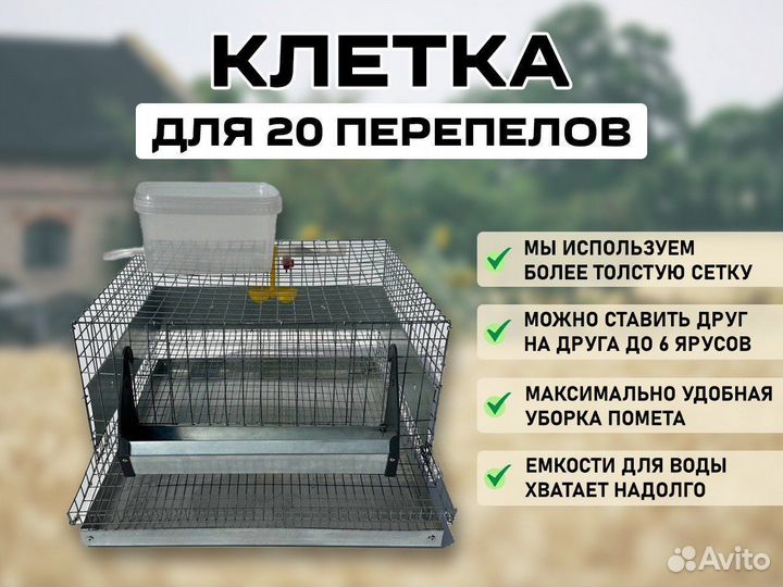 Клетка для 20 перепелов