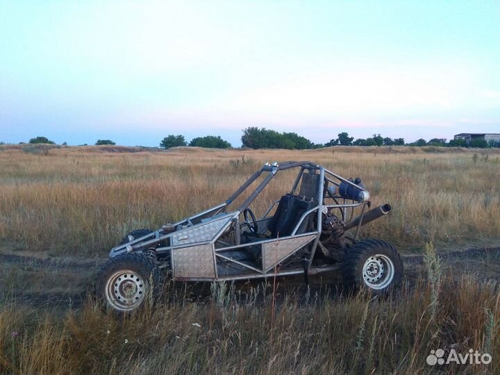 Багги барракуда