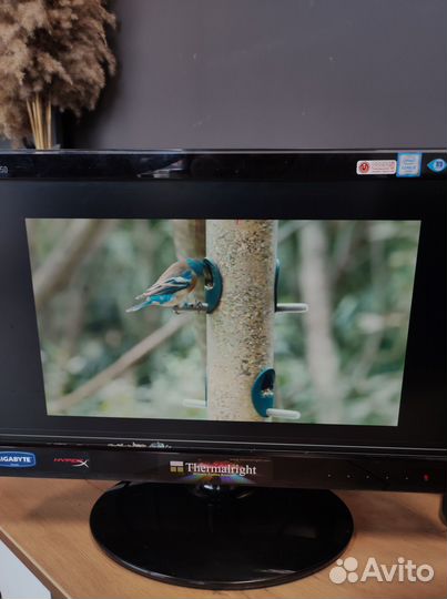 Мониторы Б/У