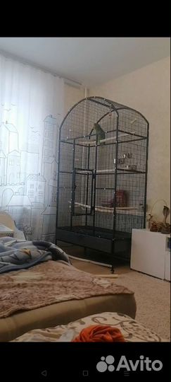 Большая клетка для птиц