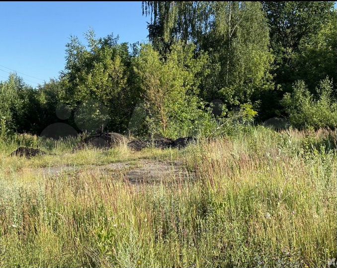 Участок 31 сот. (ИЖС)