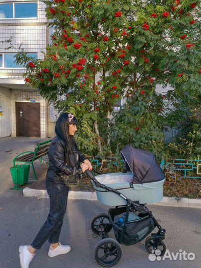 Детская коляска Alis модель Orion 2 в 1