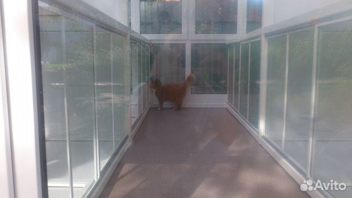 Уютная гостиница для вашего любимца 