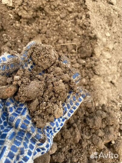 Земля серая с доставкой