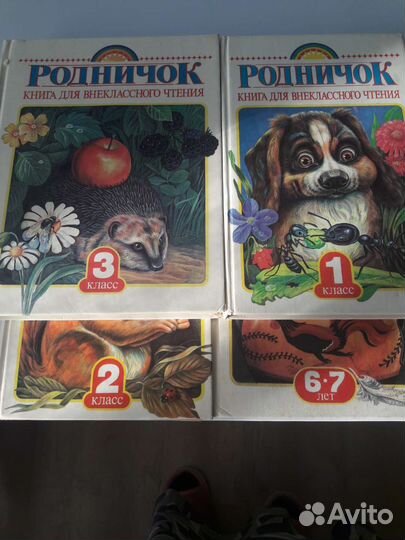 Книги для внеклассного чтения 