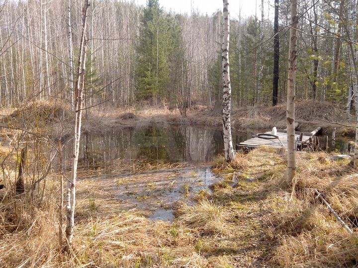 Дача 110 м² на участке 10 сот.