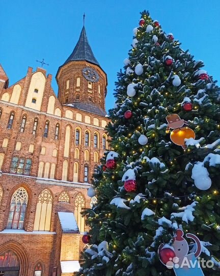 Туры в самый Западный Регион, Калининград