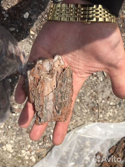 Сосновая кора