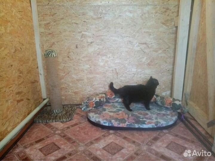 Зоогостиница