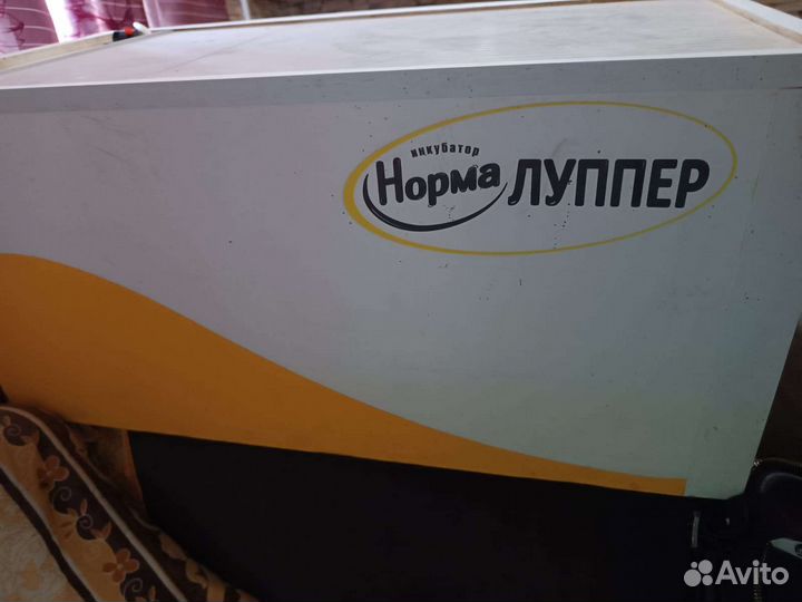 Инкубатор