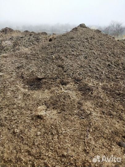 Перегной Навоз Коровий