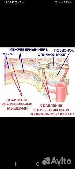Детский массаж на дому у заказчика