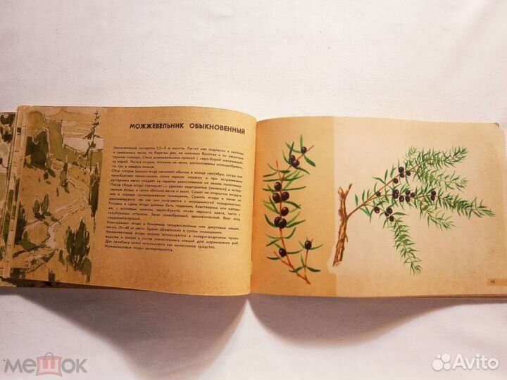 Лекарственные растения. Памятка сборщику.1963 г