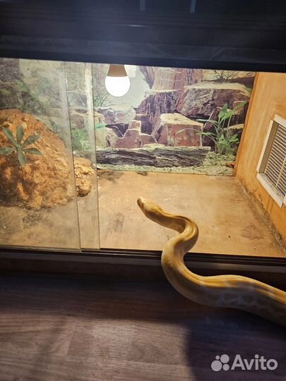 Террариум для ящериц и небольших змей
