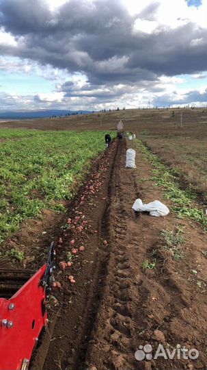 Готовый сельхоз бизнес