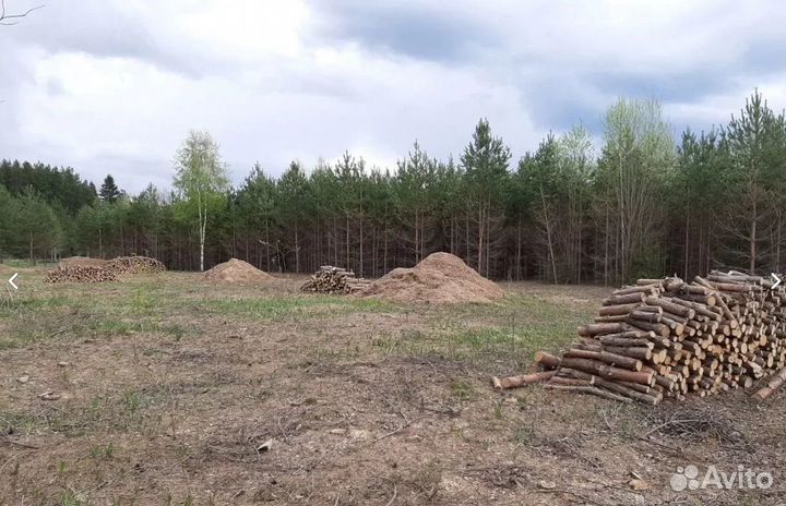 Расчистка участка без посредников. Спил деревьев