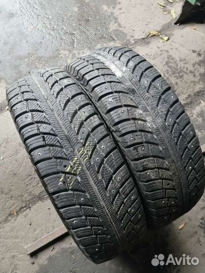 Gislaved Nord Frost 5 175/65 R14