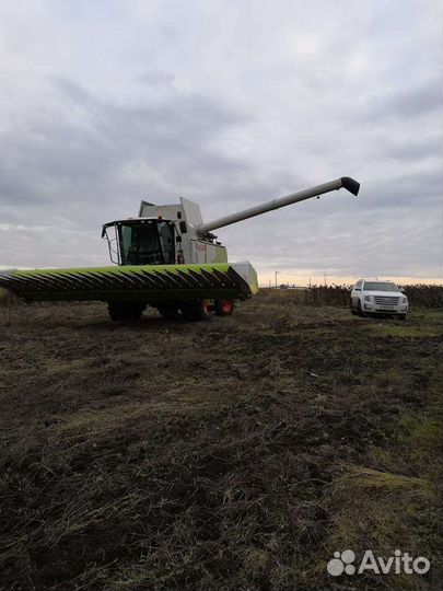 Уборка урожая комбайнами Claas Tucano 430