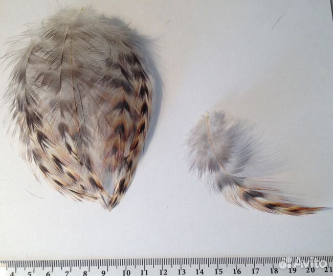 Перья для рыболовов (разные)