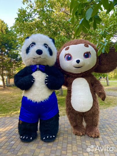 Бело черный мишка аниматор праздник