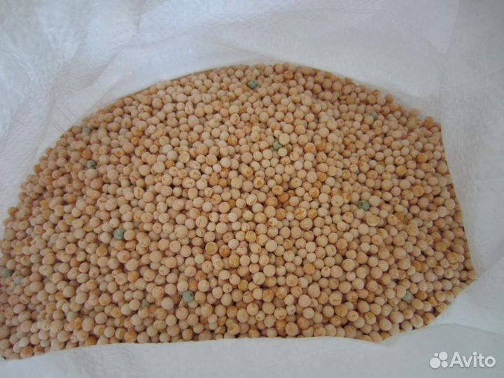 Горох кормовой