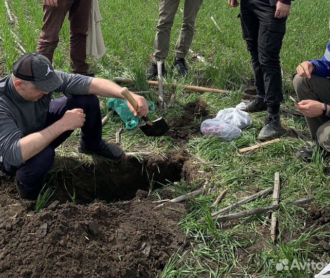 Услуги по определению содержания влаги в почве