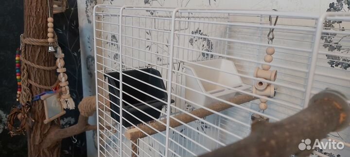 Клетка для птиц iMac camilla