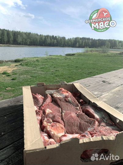 Говядина
