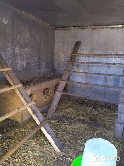 Курятник теплый