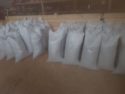 Семена фацелии