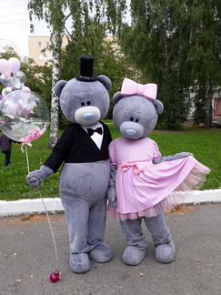 Мишка Тедди, белый мишка, панда