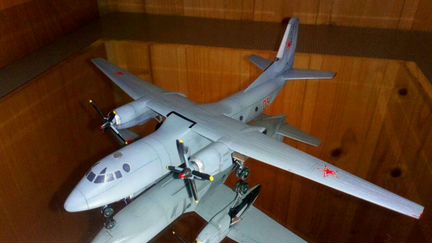 Модель самолета Ан-24