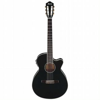 Ibanez AEG 10N электоакустика