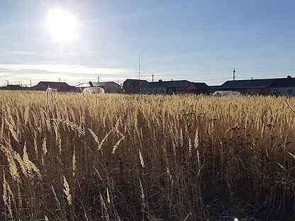 Авито алатырь. Дома в чувашии. Чуварлеи ул николаева. Участок алатырь. Участок алатырь.